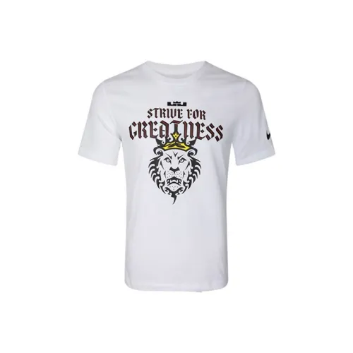 Мужские футболки Nike