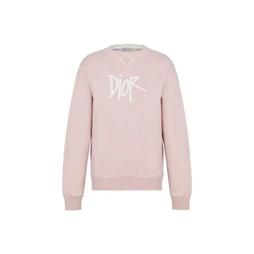 DIOR Quarterly New Products Розовые Мужские Толстовки