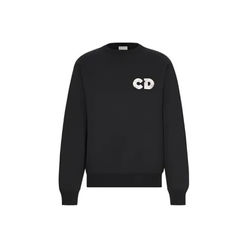 DIOR Quarterly New Products Мужские Свитшоты