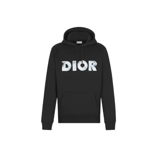 DIOR Quarterly New Products Мужские Свитшоты