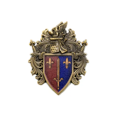 STARFORGED Warhammer Old World Мерч Batoania Рыцарь Щит Эмблема Carcassonne Army Флаг FACTION Брошь Значки