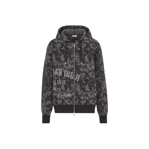 DIOR Quarterly New Products Серый Мужской Свитшот