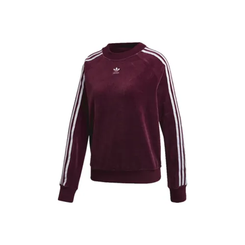 adidas originals Фуксия Женские Свитшоты