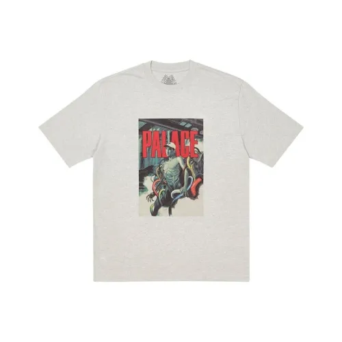 Дворцовый серый унисекс футболка