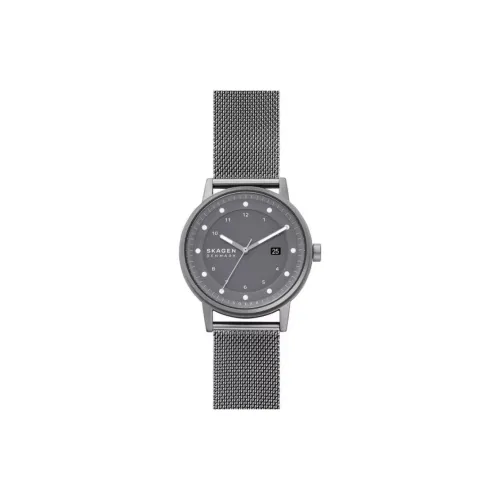 SKAGEN Наручные часы Солнечный кварцевый механизм механизм ремешок из нержавеющей стали 40 мм серый циферблат мужские часы