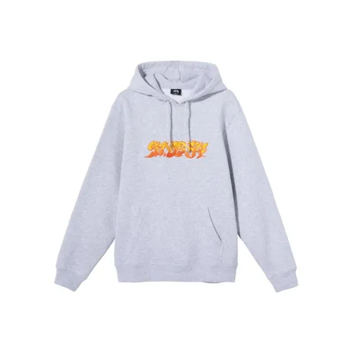 Stussy Унисекс Свитшоты