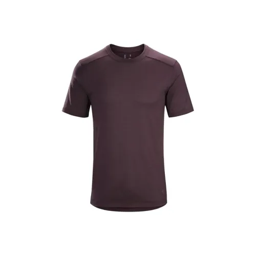 Arcteryx Ionia Merino Wool Series Мужские T-рубашки