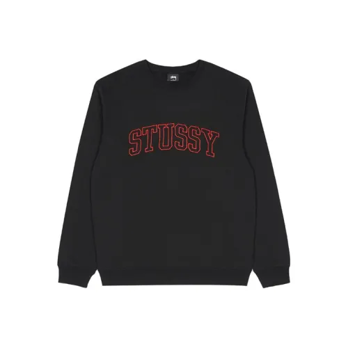 Stussy Мужские Свитшоты