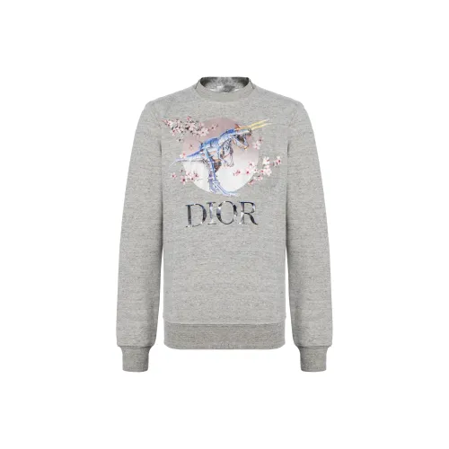 Dior Quarterly New Products Серый Унисекс Свитшоты