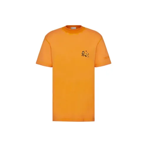 DIOR Quarterly New Products Желтые Мужские T-Рубашки