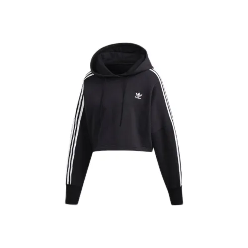 adidas originals Черные Женские Свитшоты