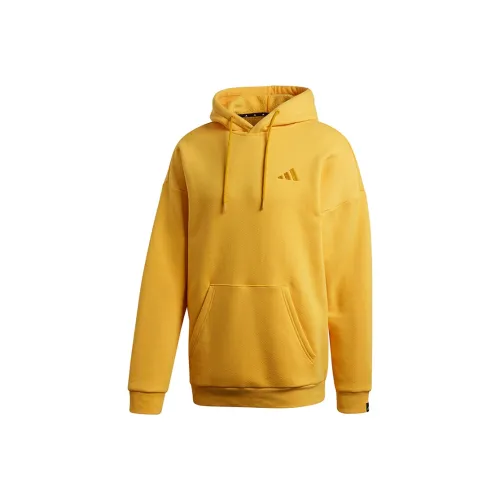 Adidas Gold Мужские Толстовки