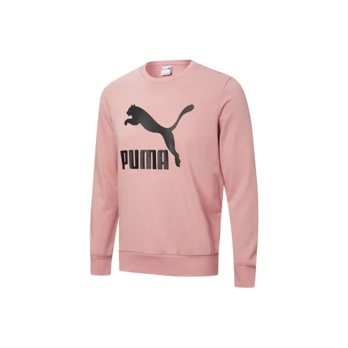 PUMA Свадебный Розовый Мужской Свитшот