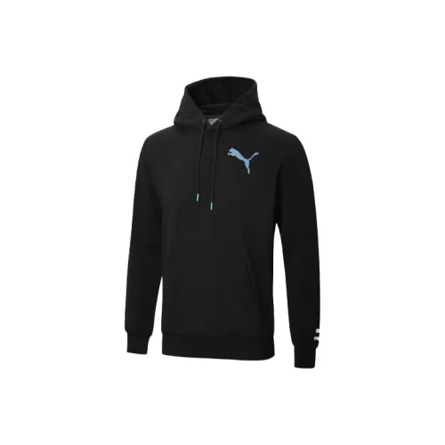 PUMA Черные Мужские Свитшоты
