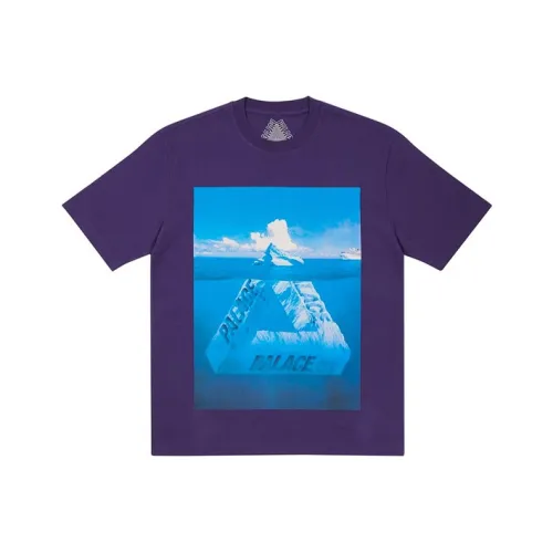 Дворцово-синий Фиолетовый Унисекс Футболки