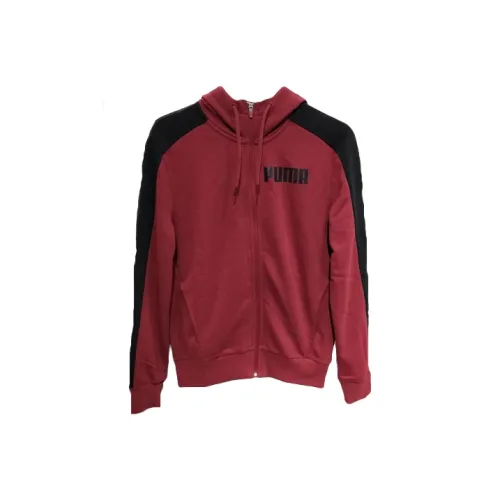 PUMA Бордовый Мужской Свитшот