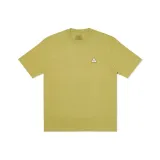 Мох зеленый