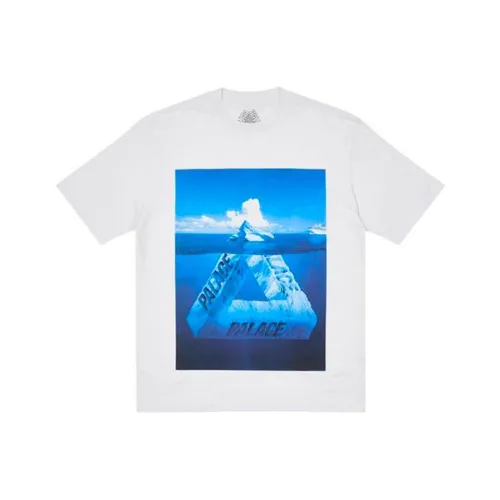 Дворцовый серый унисекс футболка