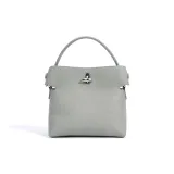 Цвет серой чайки