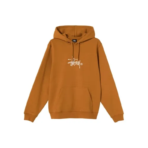 Stussy Унисекс Свитшоты