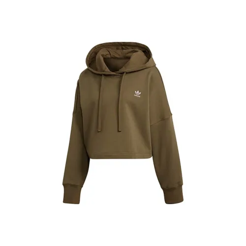 adidas originals Complements Оливково-зеленый Унисекс Свитшоты