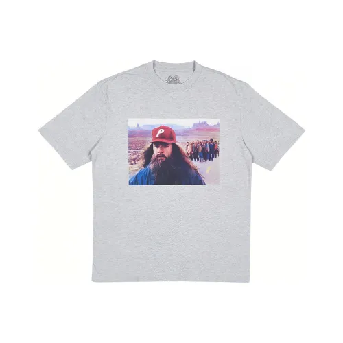 Дворцовый серый унисекс футболка