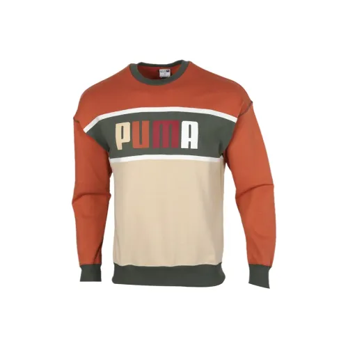 PUMA Серый Зеленый и Коричневый Многоцветный Мужской Свитшот