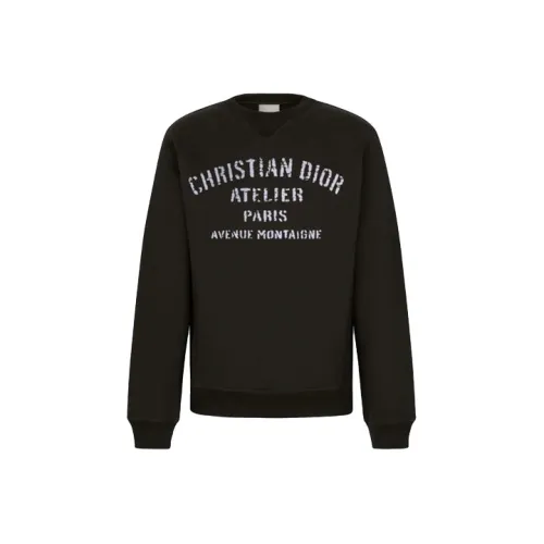 DIOR Quarterly New Products Черные Мужские Толстовки