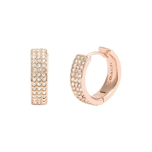 COACH Латунь с покрытием стекло CUBIC циркон медное покрытие серьги женские розовое золото