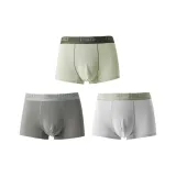 Авокадо + Шоколадный + Светлый Кофейный