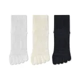 Белый + Экрю + Черный [Сетка, дышащий, ✅ антибактериальный, устойчивый к запахам]