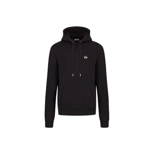 DIOR Quarterly New Products Свитшот Мужской Черный