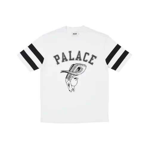 Дворцовый белый унисекс футболки