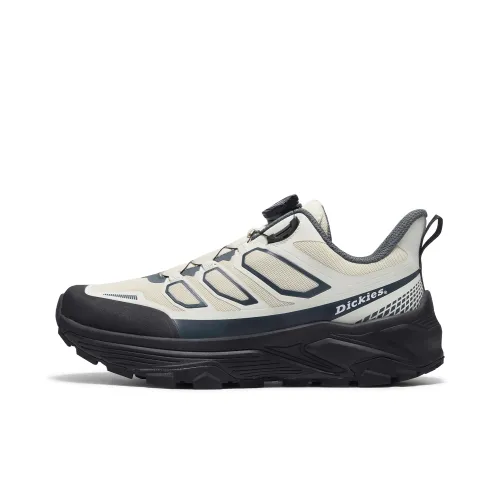 Dickies Низкий Топ Casual Мужской