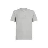 Лаймово-серый