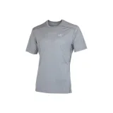 Серый/Пегас