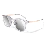 PH20074-C04 Прозрачный Серый с Розовым Золотом-Серые Линзы