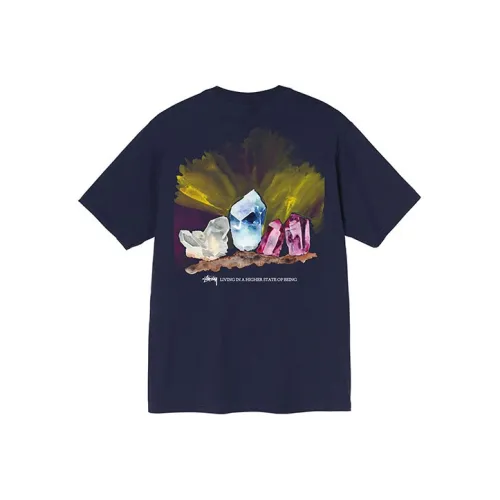 Stussy Мужская T-рубашка