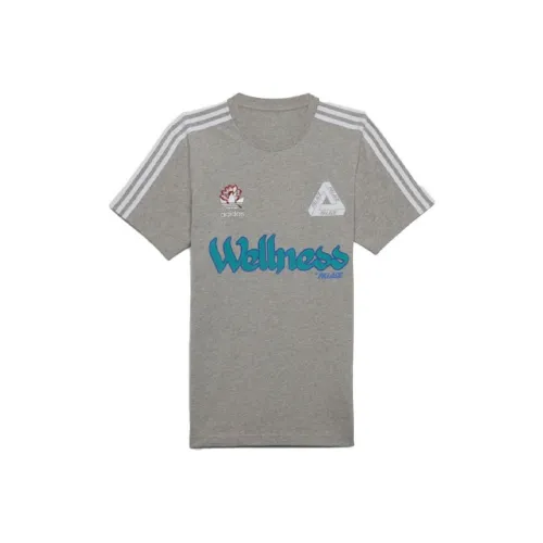 Дворцовый Серый Мужские T-Рубашки