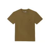 Земляной желтый