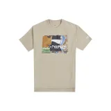 пыльно-песочный