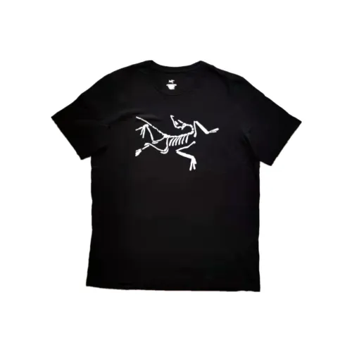 Arcteryx Ionia Merino Wool Series Мужские T-рубашки