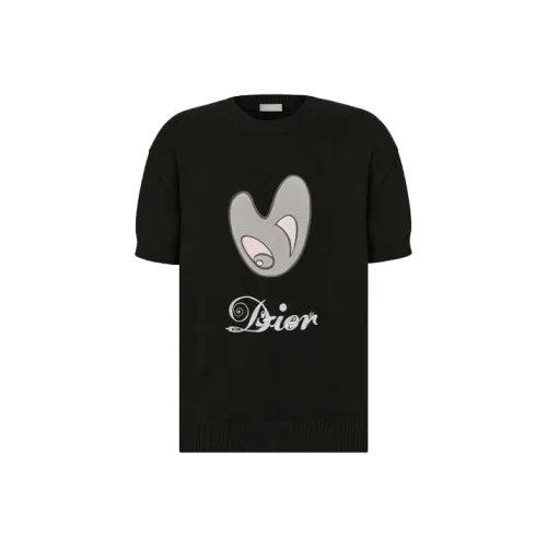 DIOR Quarterly New Products Черные Мужские T-Рубашки