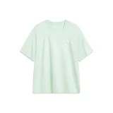 Туманно-зеленый