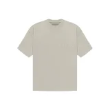 Серый тюлень