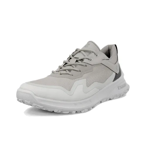 Ecco Otto series Низкий Топ Альпинистская Обувь Мужская Серый