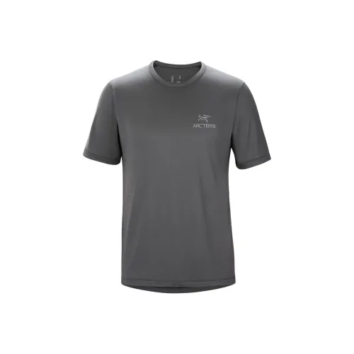 Arcteryx Emblem Мужская T-рубашка