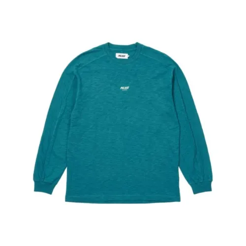 Дворцовый Озерно-голубой Мужская T-рубашка