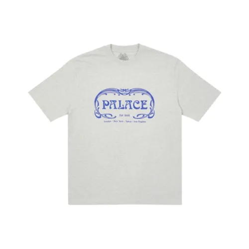 Дворцовый серый унисекс футболка