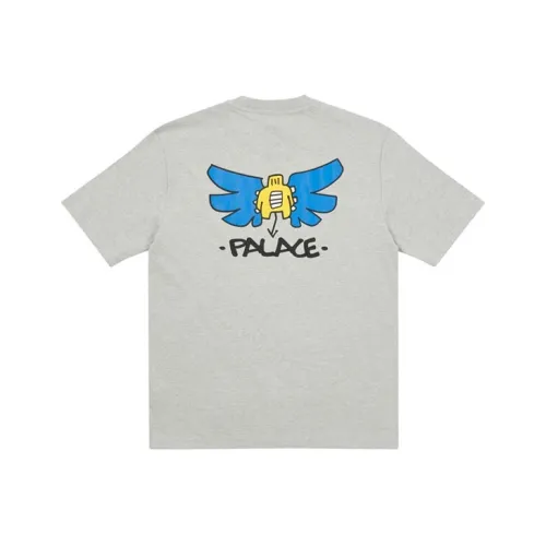 Дворцовый серый унисекс футболка